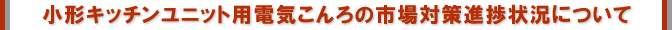 `Lb`jbgpdC̎s΍i󋵂ɂ